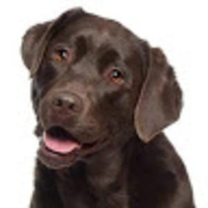 Meet your Posher, Jazlyn